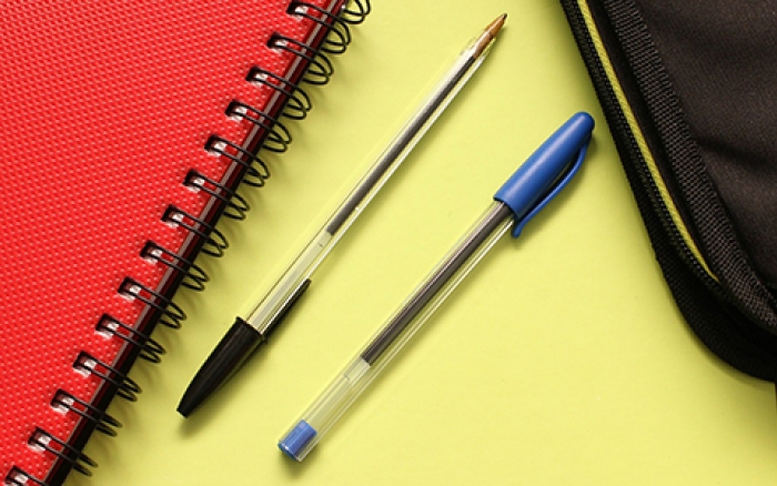 Sistem vanrednog skolovanja