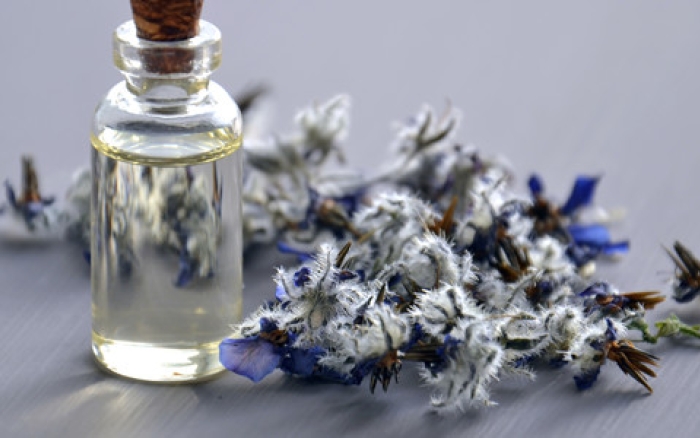 Konvencionalna ili alternativna medicina